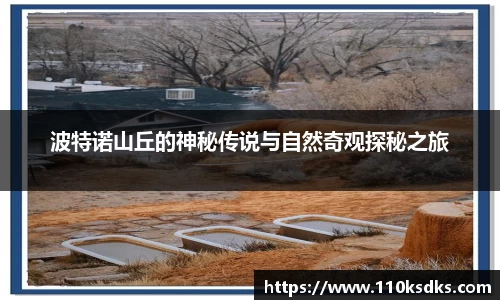 raybet雷竞技官方网址